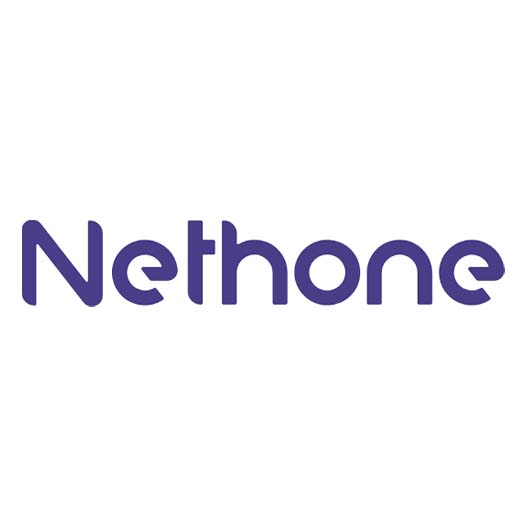 Nethone logo